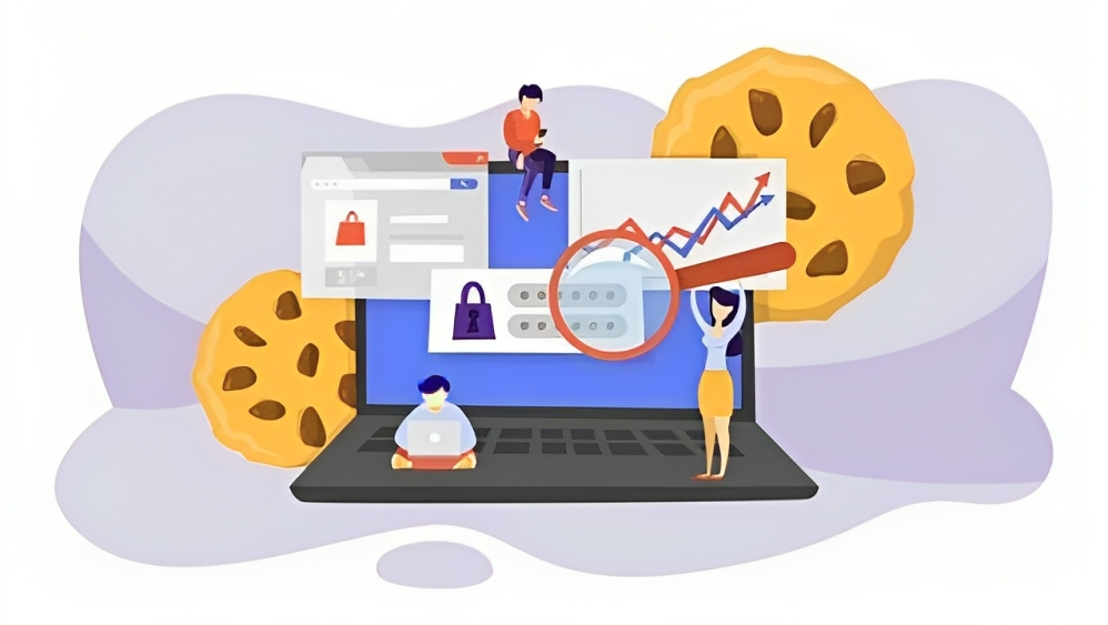 Cookie Regulation in India